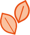 veggie